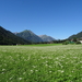 3 Griezbach Alm _DSC00111