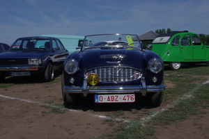 IMGP3182