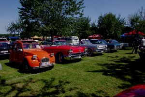 IMGP3195