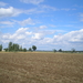 Hor (4)