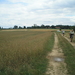 Hor (9)