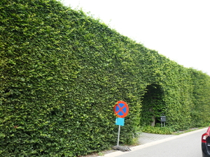 P1130491