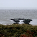 17-DSCN5193