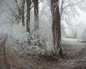 P2210442