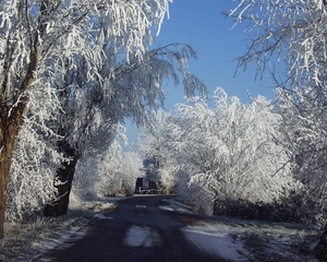 P2220468