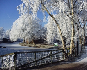 P2220455
