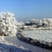 imported_thumbnail_2