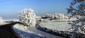 imported_thumbnail_2