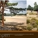 verkoop foto
