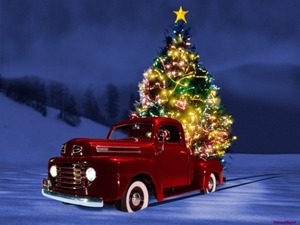 christmas-tree_648249975