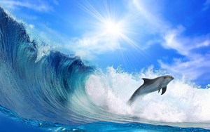 foto-van-een-dolfijn-en-grote-golven-op-de-achtergrond