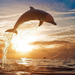 mooie-wallpaper-van-een-uit-het-water-springende-dolfijn