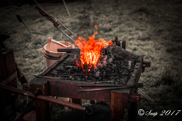 IMG_7440