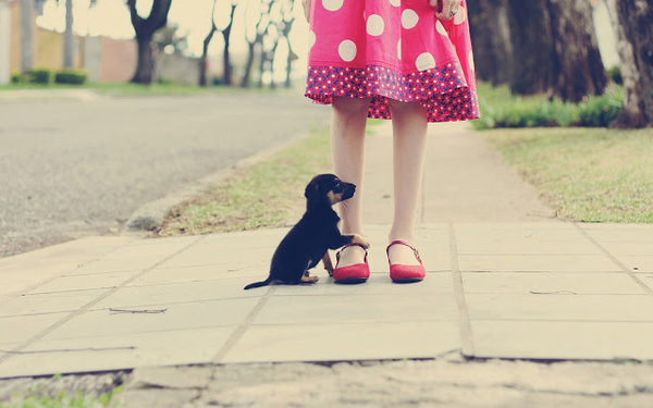 picture-of-a-girl-in-a-dress-with-her-little-puppy-dog-hd-dogs-wa