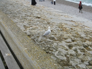 2008 TURKIJE NORMANDIE 364