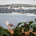 2017_09_12 Kroatie 172