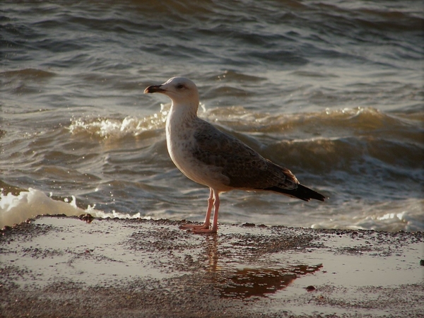 2017_09_12 Kroatie 209