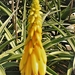 2017_09_13 Kroatie 046
