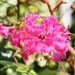 2017_09_13 Kroatie 050