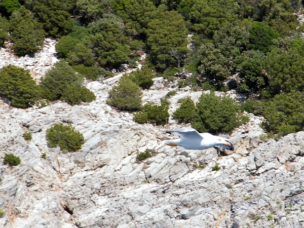 Kroati Croatie Croatia