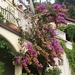 20170913_164024