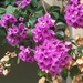 20170913_164038