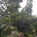 20170915_164551