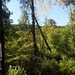 20170917_155039
