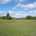 IMGP0363
