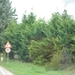 IMGP0372