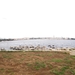 IMGP0380
