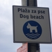 IMGP0384