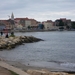 IMGP0387