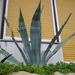 IMGP0416