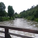 IMGP0459