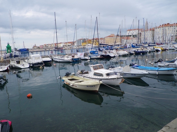 IMGP0469