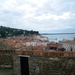 IMGP0481