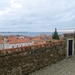 IMGP0484