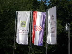 IMGP0500