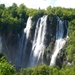 IMGP0509
