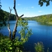 IMGP0571
