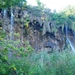 IMGP0585