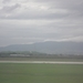 IMGP0645