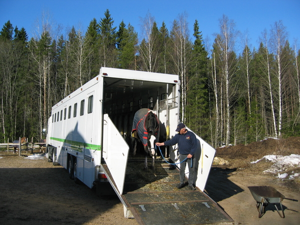 paard lossen