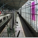 sized_DSC09787