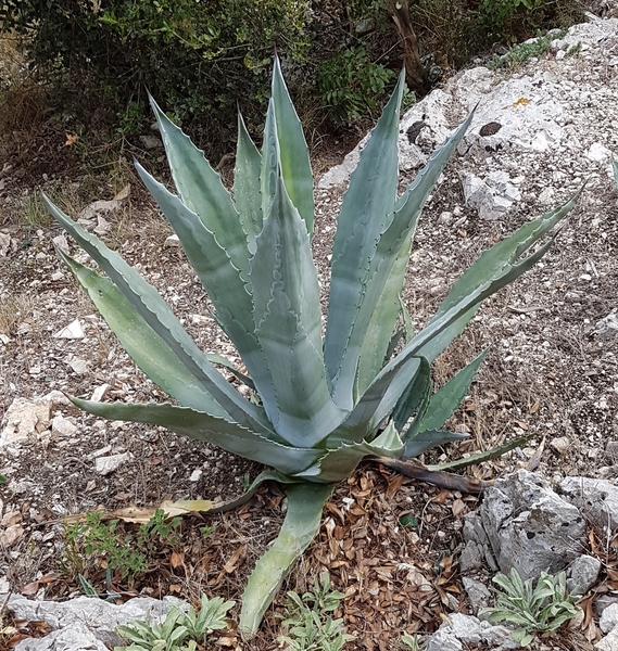 20170906_162338