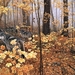 ron-s-parker-autumn-maples