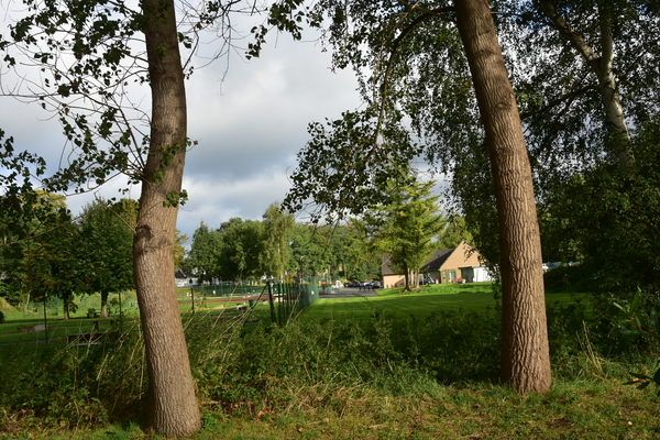 DSC_4995
