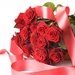 romantic-rose_642397592