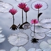 lotus-flowers_1799974055